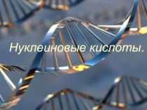 Презентация по биологии Нуклеиновые кислоты