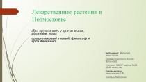 Презентация по биологии на тему Лекарственные Растения в Подмосковье