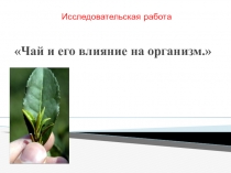 Презентация по биологии на тему Чай и его влияние на организм (8 класс)