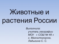 Презентация по географии на тему Природные зоны России