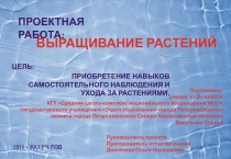 Презентация совместной работы Выращивание растений