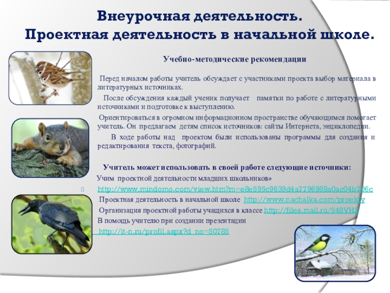 Проект Времене года 2 класс Внеурочная деятельность. Проектная деятельность в начальной школе. Учебно-методические Внеурочная деятельность. Проектная деятельность в начальной школе. Учебно-методические рекомендации