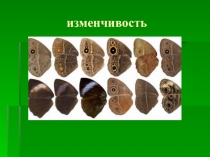 Презентация к уроку Формы изменчивости. Мутационная изменчивость