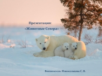 Презентация по окружающему миру Животные Севера.