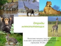 Презентация по биологии  ОТРЯДЫ МЛЕКОПИТАЮЩИХ