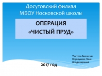 Презентация Операция ЧИСТЫЙ ПРУД