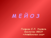 Презентация по биологии 10 класс на тему Мейоз