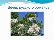 Презентация к ввнеклассному мероприятию Русский романс