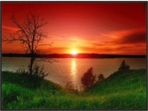 Презентация по природоведению Физические и химические явления (5 класс)