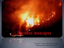 Лесные пожары