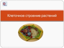 Презентация по биологии на тему Клеточное строение растений. Свойства растительной клетки 6 класс