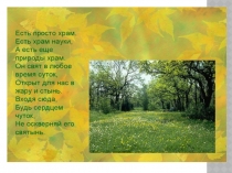 Для чего планете нужен лес?