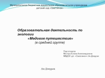 Презентация к занятию Медовое путешествие