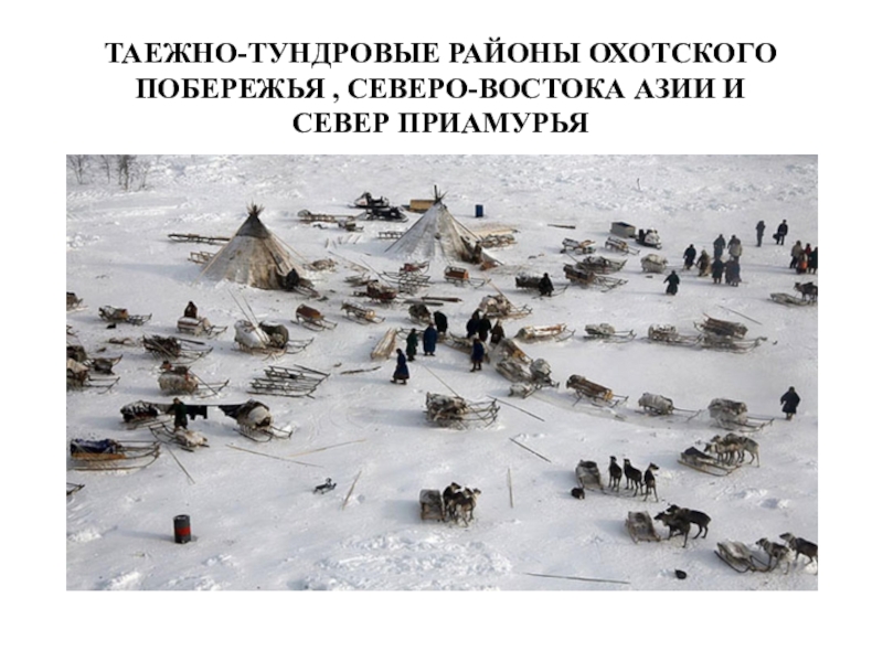 Презентация ТЕМА ИСТОРИКО-КУЛЬТУРНАЯ ХАРАКТЕРИСТИКА ДАЛЬНЕГО ВОСТОКА РОССИИ И ПОСЛЕДСТВИЯ РУССКОЙ КОЛОНИЗАЦИИ ТАЕЖНО-ТУНДРОВЫЕ РАЙОНЫ ОХОТСКОГО ПОБЕРЕЖЬЯ , СЕВЕРО-ВОСТОКА АЗИИ И СЕВЕР ПРИАМУРЬЯ ТАЕЖНО-ТУНДРОВЫЕ РАЙОНЫ ОХОТСКОГО ПОБЕРЕЖЬЯ , СЕВЕРО-ВОСТОКА АЗИИ И СЕВЕР ПРИАМУРЬЯ