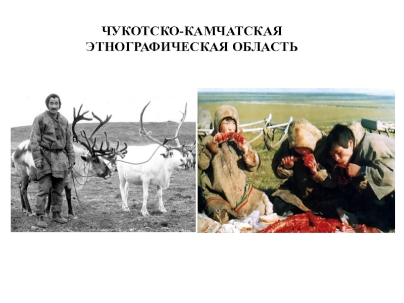 Презентация ТЕМА ИСТОРИКО-КУЛЬТУРНАЯ ХАРАКТЕРИСТИКА ДАЛЬНЕГО ВОСТОКА РОССИИ И ПОСЛЕДСТВИЯ РУССКОЙ КОЛОНИЗАЦИИ ЧУКОТСКО-КАМЧАТСКАЯ ЭТНОГРАФИЧЕСКАЯ ОБЛАСТЬ ЧУКОТСКО-КАМЧАТСКАЯ ЭТНОГРАФИЧЕСКАЯ ОБЛАСТЬ