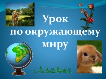 Презентация к уроку по окружающему миру для 1 класса на тему Животные и их разнообразие