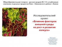 Исследовательский проект Влияние факторов внешней среды на рост и развитие колеуса