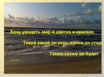 Зрительный анализатор