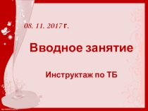 План урока и презентация по цветоводству на тему Вводное занятие. Инструктаж по ТБ.(6 класс)