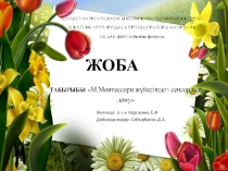 М.Монтессори жүйесіндегі сенсорлық даму /жоба/