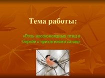 Презентация к исследовательской работе Роль насекомоядных птиц в борьбе с вредителями садов