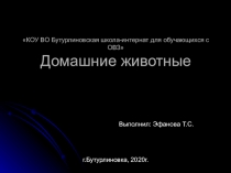 Презентация по окружающему природному миру Домашние животные