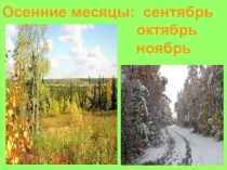 Урок Окружающего мира в 4 классе специальной (коррекционной) общеобразовательной школы. Автор учебника С.В. Кудрина