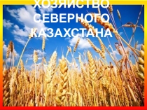 Презентация Хозяйство Северного Казахстана, 9 класс