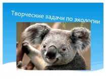 Творческие задачи по экологии