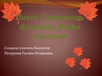 Презентация по биологии на тему