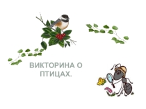 Викторина о птицах
