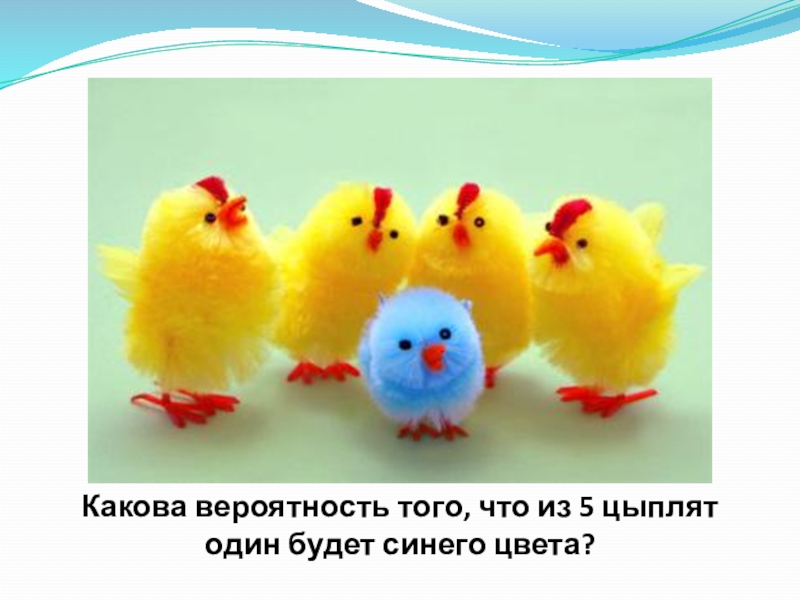 Презентация к уроку Классическое определение вероятности Какова вероятность того, что из 5 цыплят один будет синего цвета? Какова вероятность того, что из 5 цыплят один будет синего цвета?