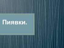 Презентация по биологии Пиявки 7 класс