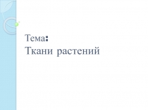 Презентация по биологии на тему Покровная ткань растений (5 класс)