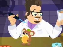 Презентация по ФЦКМ Вода. Свойства воды