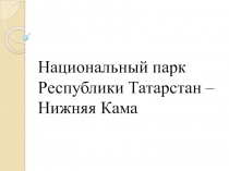 Растения национального парка Нижняя Кама