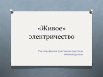Презентация Живое электричество