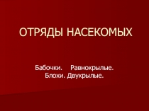 Отряды насекомых