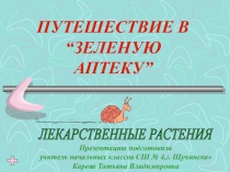 Презентация по окружающему миру Путешествие в зелёную аптеку
