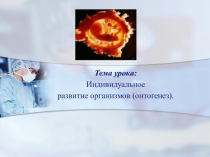 Презентация по биологии на тему Индивидуальное развитие организмов