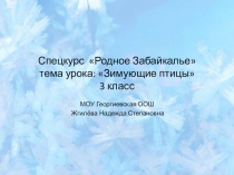 Презентация к уроку спецкурса Родное Забайкалье по теме Зимующие птицы
