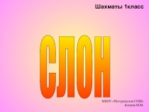 Презентация по физической культуре на тему Шахматная фигура Слон (6 класс)