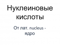 Презентация по теме Нуклеиновые кислоты 9 класс