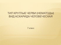 Презентация Тип круглые черви