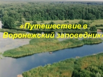 Презентация Путешествие в Воронежский заповедник