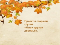 Проект в старшей группе Наши друзья-деревья (часть 1)