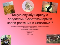 Презентация по биологии на тему Роль растений и животных в ВОВ