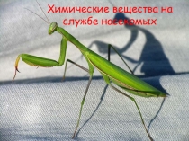 Химические вещества на службе насекомых