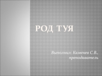 Презентация по МДК 02.01 Цветоводство и декоративное древоводство, на тему Род Туя