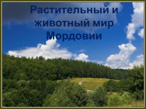 Презентация по географии Растительный и животный мир Мордовии